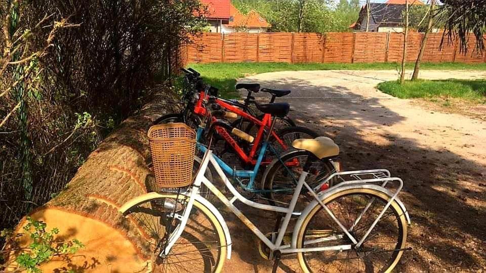 Miodowy Zakatek Caloroczne Domki I Pokoje Przy Suntago, Deepspot, Pyszne Sniadania, Grill, Ognisko Mszczonów 외부 사진