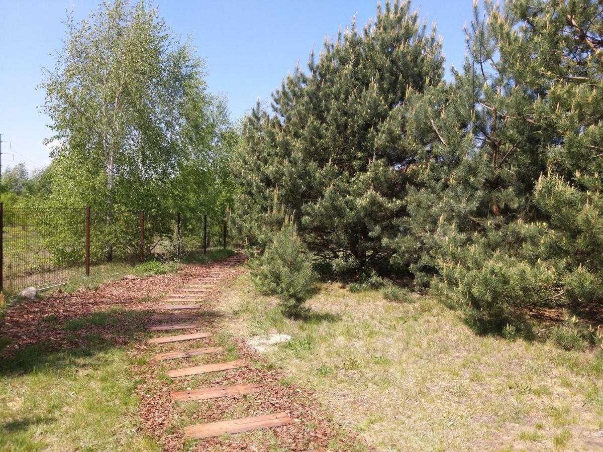Miodowy Zakatek Caloroczne Domki I Pokoje Przy Suntago, Deepspot, Pyszne Sniadania, Grill, Ognisko Mszczonów 외부 사진